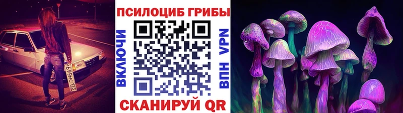 кракен ТОР  Ялта  Псилоцибиновые грибы ЛСД 